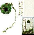 Magnetic Jumping Spider Enclosure Accessories