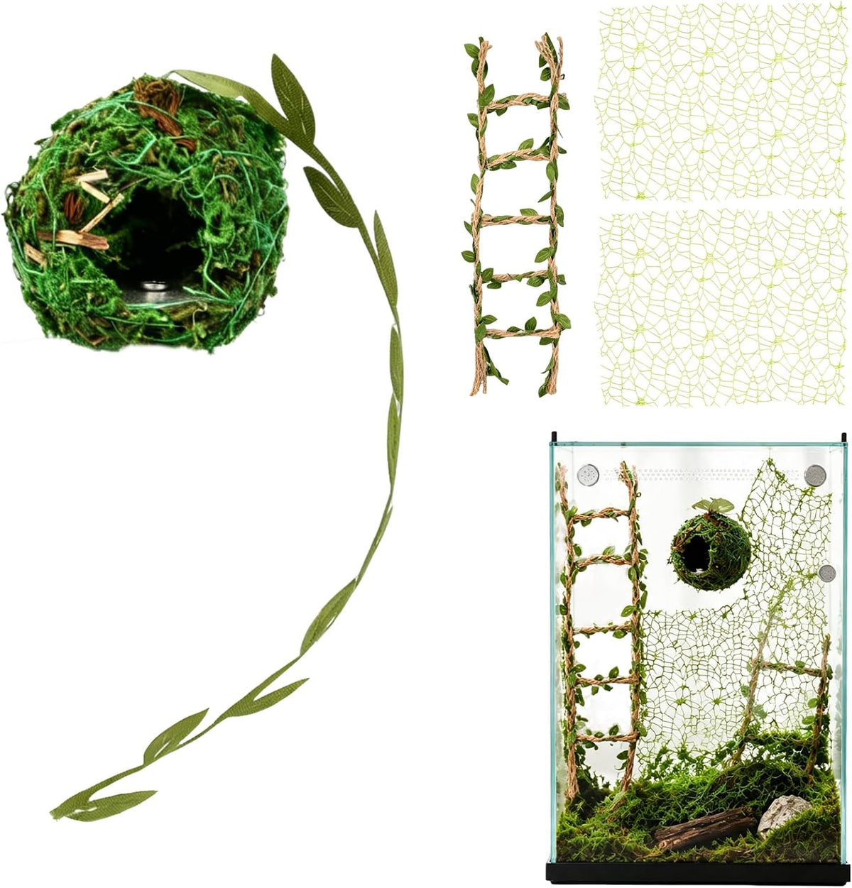 Magnetic Jumping Spider Enclosure Accessories