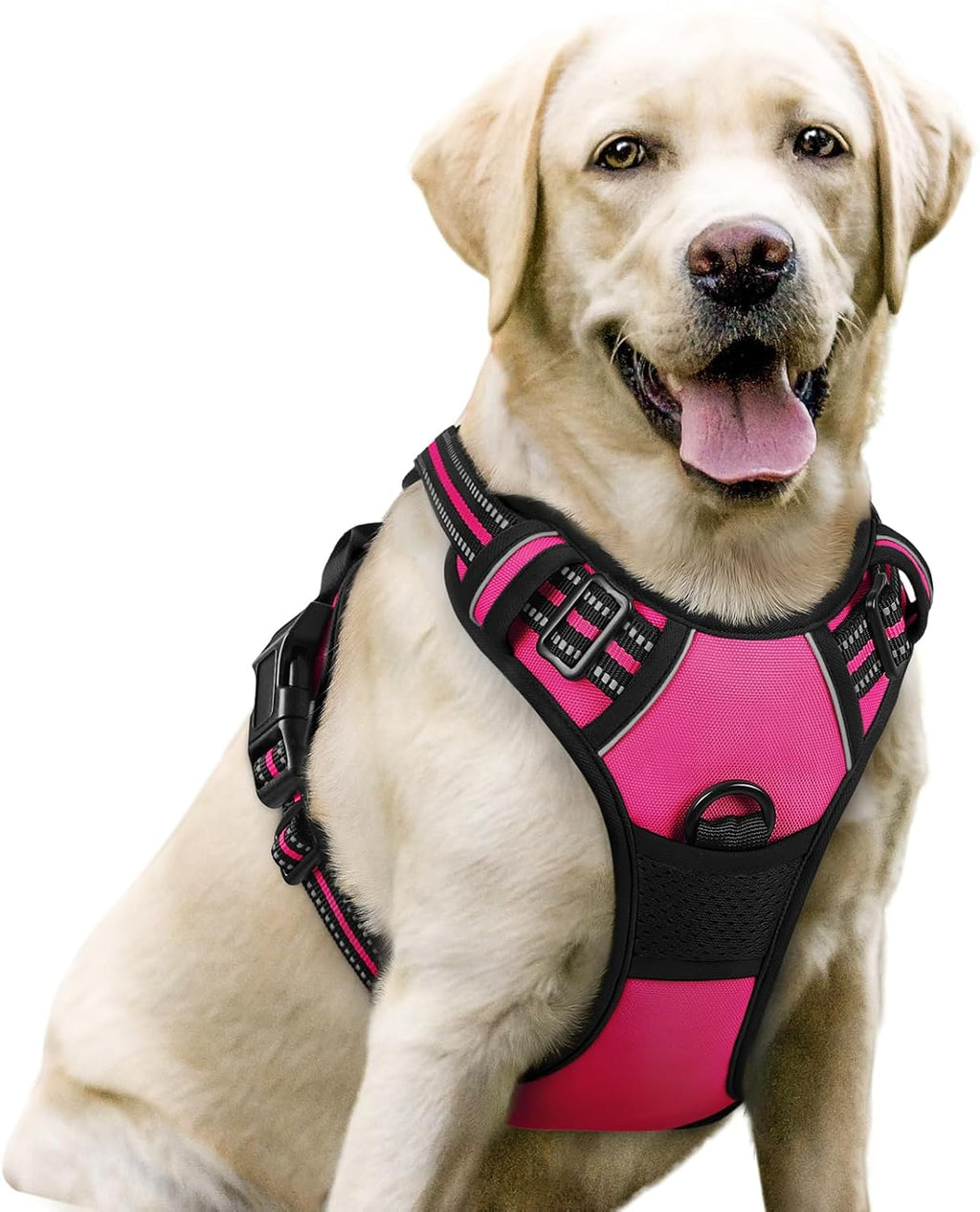 rabbitgoo Dog Harness, No Pull for Large Dogs with 2 Leash Clips, Pet Vest