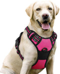 rabbitgoo Dog Harness, No Pull for Large Dogs with 2 Leash Clips, Pet Vest