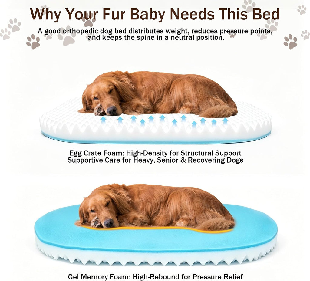 Dog Bed with Reusable Potty Pad - 44" x 32" x 7.0" Brown