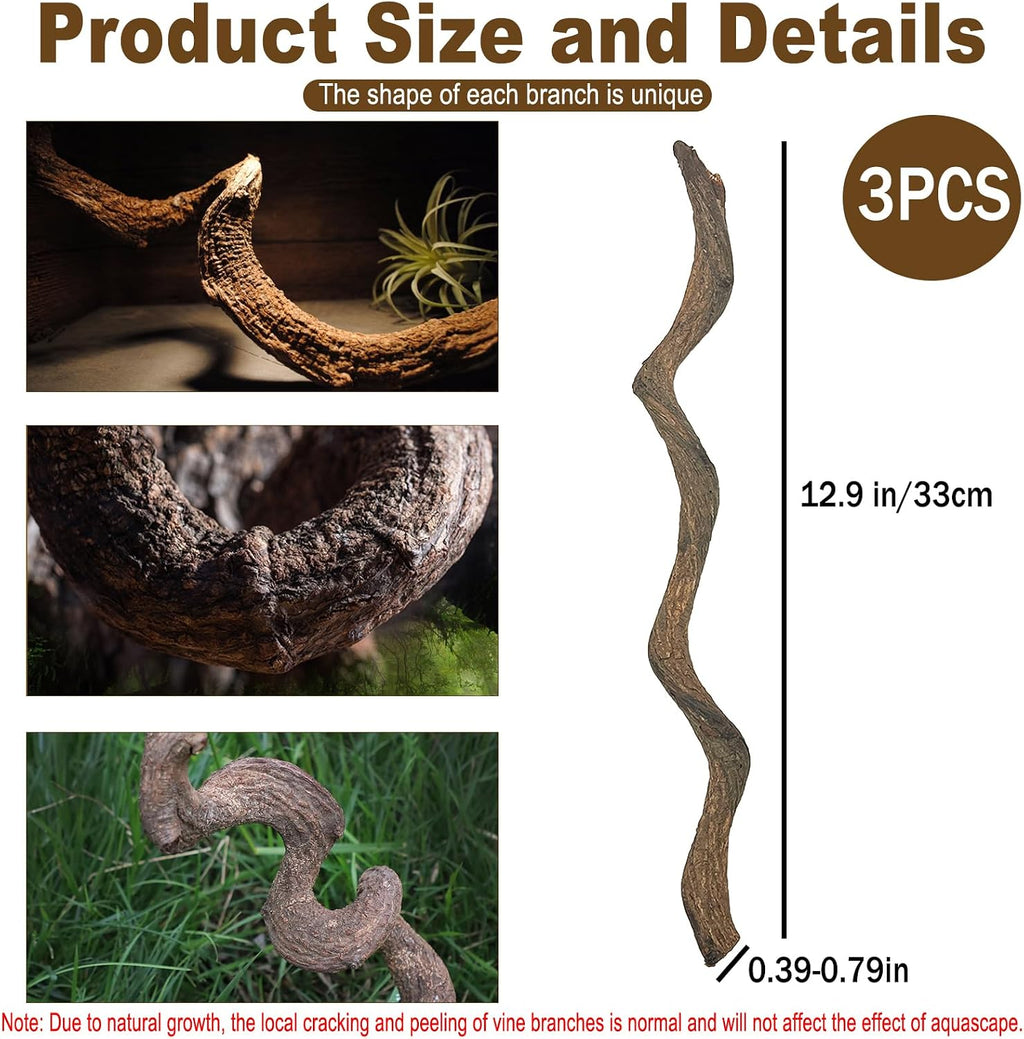 Reptile Decor 3PCS Natural Forest Branch Terrarium Habitat Decoration Lizard Climbing Tree Branch for Bearded Dragon Gecko Snake Frog Chameleon Spider