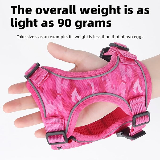 Dog Harness and Leash Set, Small Sized No Pull Pet Harness - Image 5