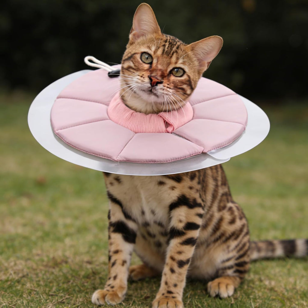 Elizabethan Collar, Cat Cone Collar Pet Cones, M, Pink