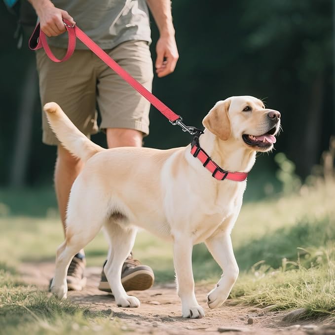 Joytale Reflective Dog Collar, Soft Neoprene Padded, Metal D-Ring, Nylon Pet - Image 6