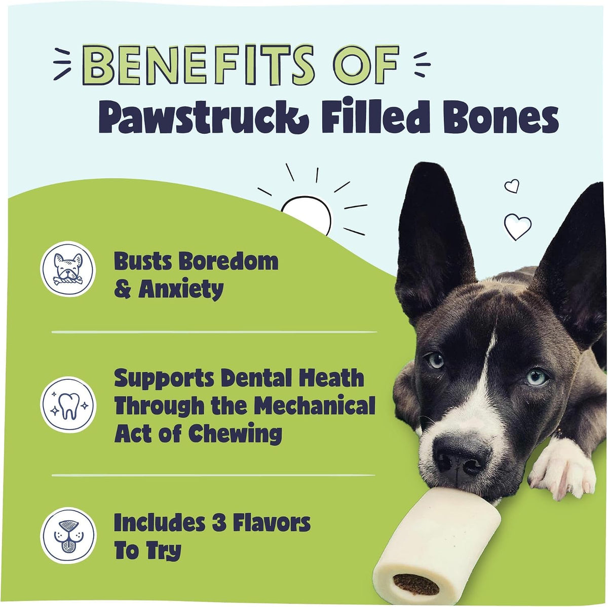 Pawstruck Small Filled Bones Variety Pack, Beef Femur Dog Chew, 3 Pack