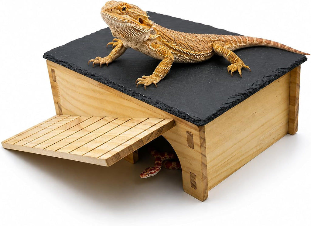 Bearded Dragon Basking Platform & Hideout, Natural Slate Rock Reptile Hide