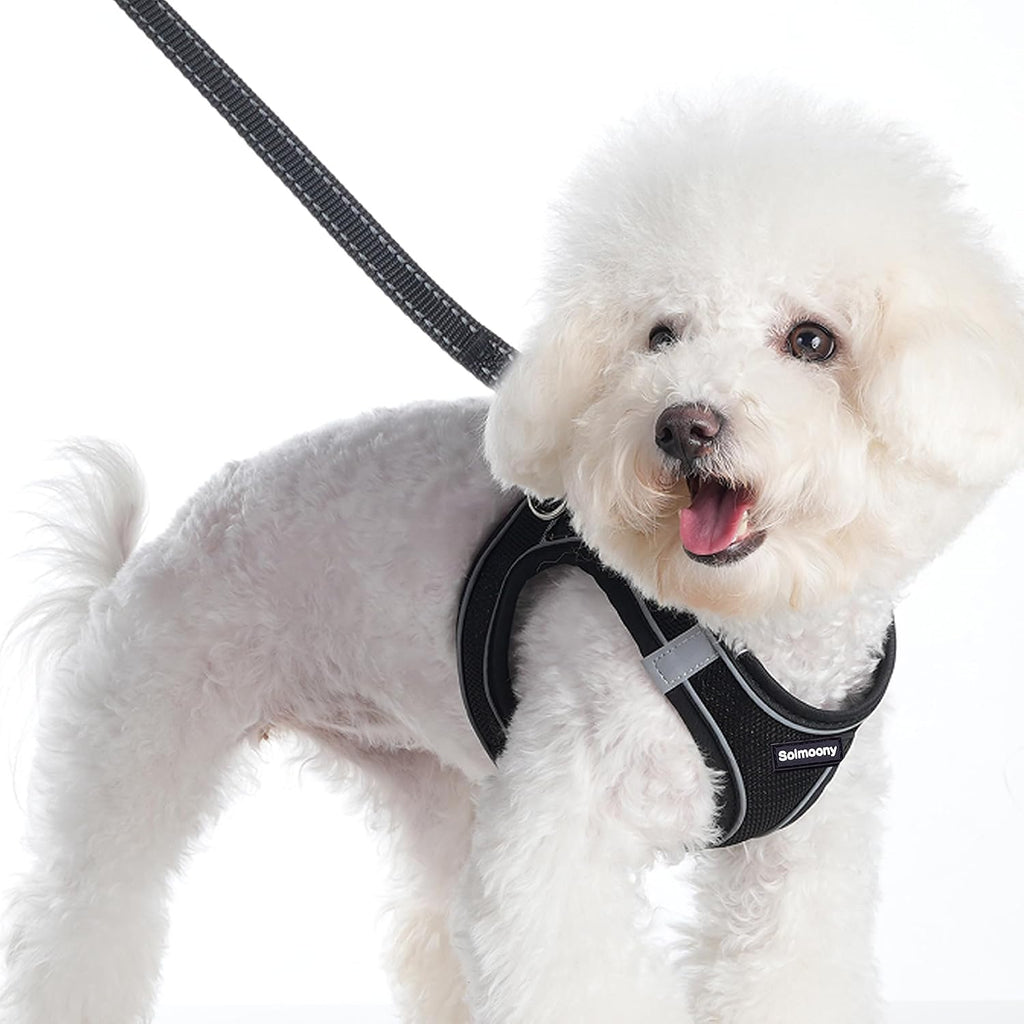 Solmoony Sparkly Small Dog Harness and Leash Set, Step in Soft Light Puppy Vest, Breathable Reflective Pet Harness for Walking, Puppy Harness for Small Dogs Cats (Black, L)