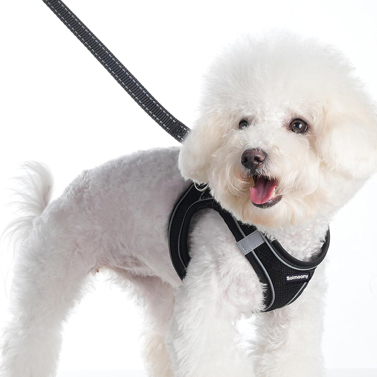 Solmoony Sparkly Small Dog Harness and Leash Set, Step in Soft Light Puppy Vest, Breathable Reflective Pet Harness for Walking, Puppy Harness for Small Dogs Cats (Black, L)
