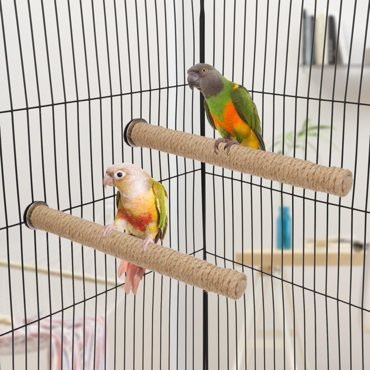 Hypeety Bird Perch Stand Natural Wood Parrot Hemp Rope Perch, 9.84''/25cm