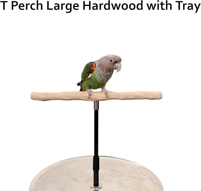 Parrot Training Perch Stand - Image 2