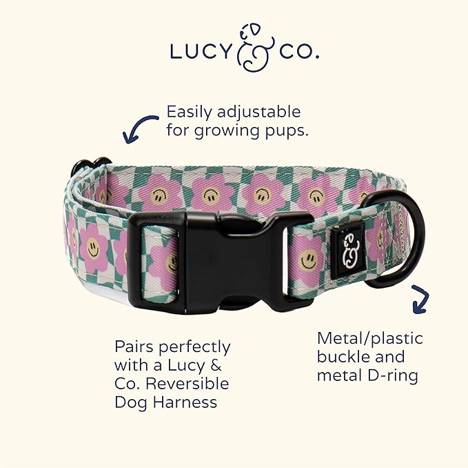 Lucy & Co. Making Rainbows, Cute Reversible Dog Harness Walking Halter - Image 3