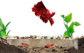Shrimp Breeding Protector | Shrimp Breeding Cave Aquarium Tunnel | CTWPets by CTWPets