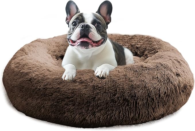 JOLLYVOGUE Calming Small Dog & Cat Bed by JOLLYVOGUE