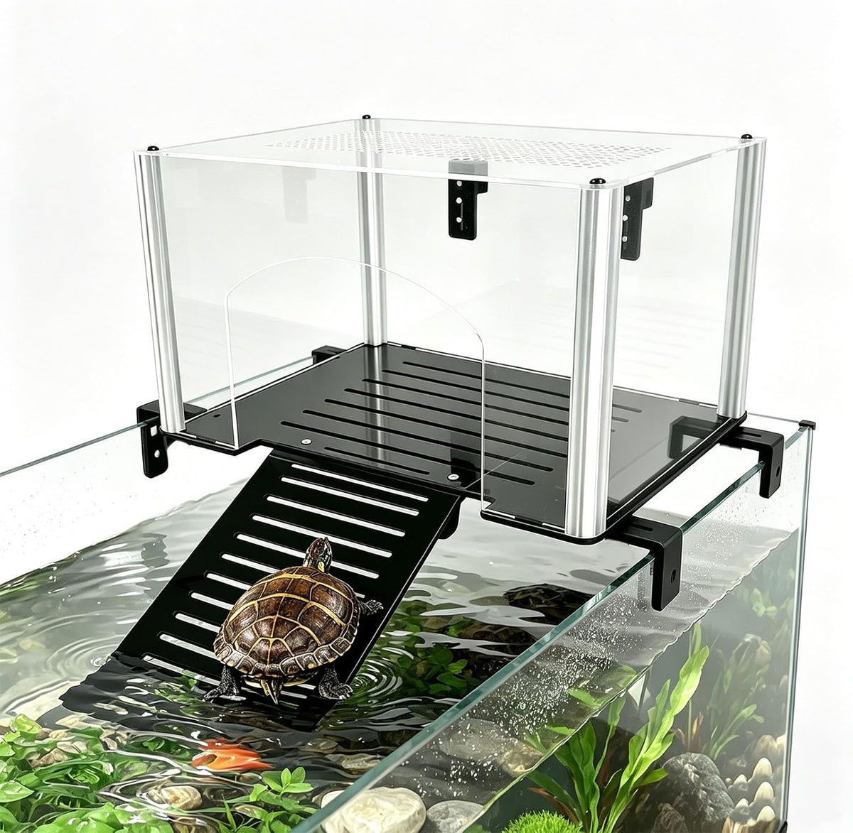 Turtle Sunbathing Platform Large Size