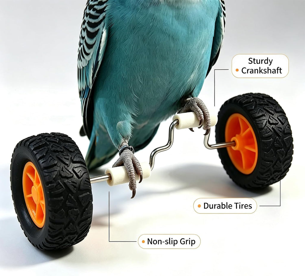 Parrot Training Toys Set 3 Pack Progressive Trick Skateboard Props