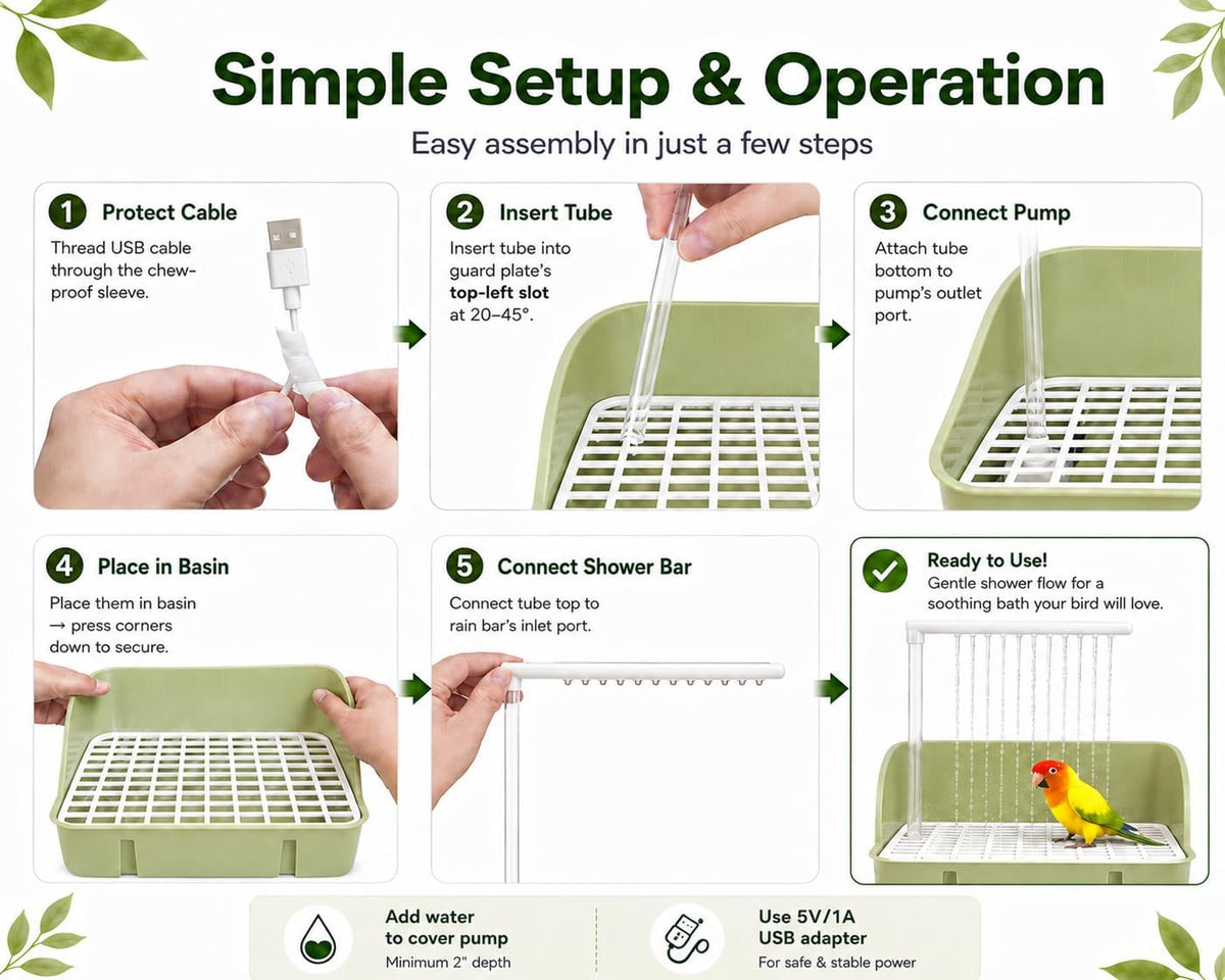 Automatic Bird Bath with Pump