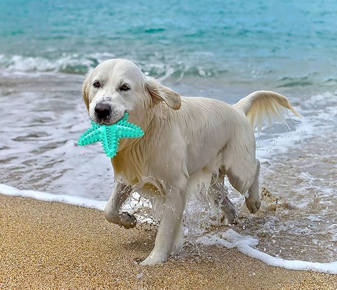Carllg Dog Toys for Aggressive Chewers, Dog Teething Cleaning Toothbrush Toy - Image 6