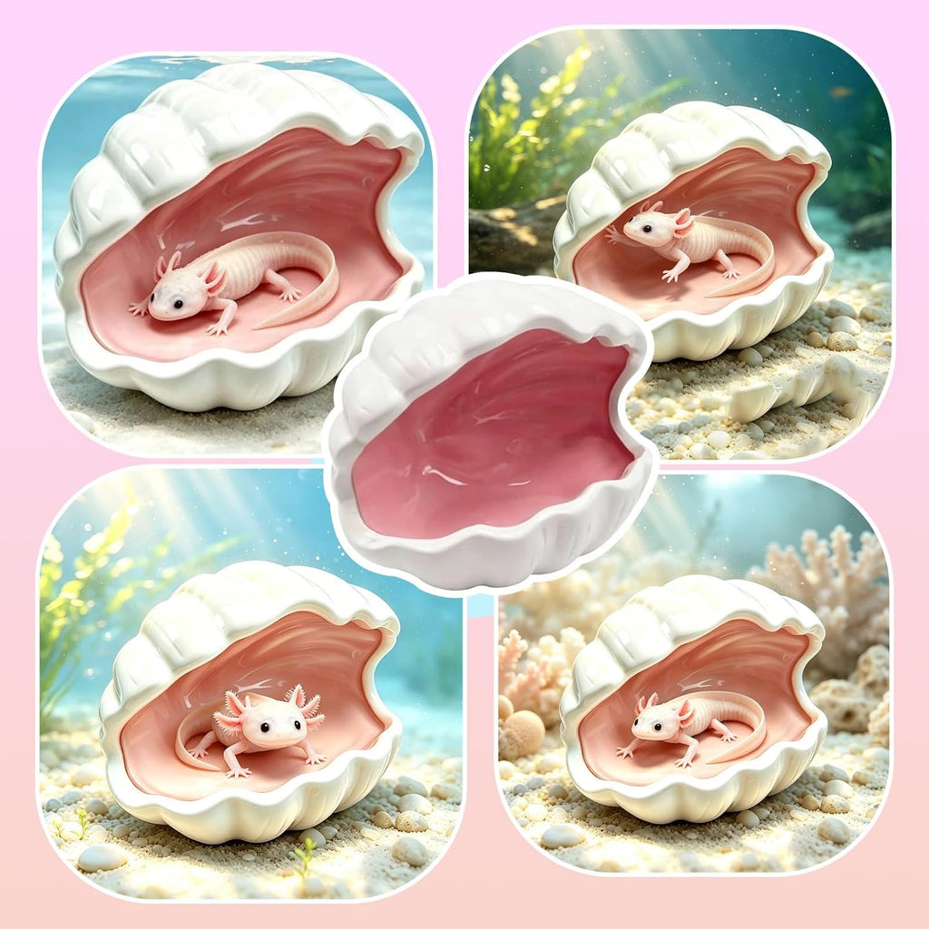 Axolotl Hide Ceramic Shell Shape Fish Tank Cave Set