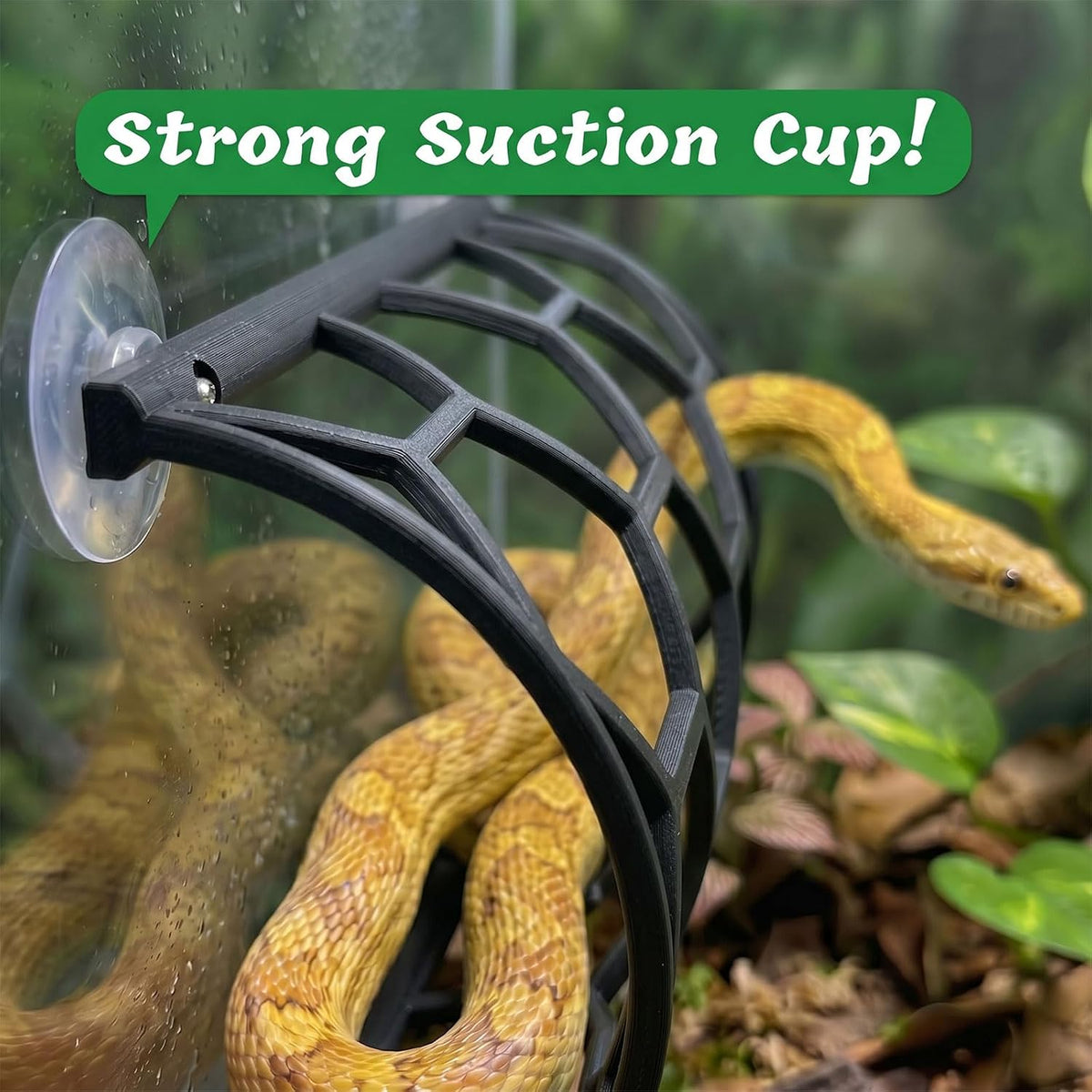 HOZOE Reptile Honeycomb Climbing Shelf, Suction Cup Mounted Snake Hide & Rest Platform, Terrarium Wall Decor Accessories for Ball Python, Corn Snake, Lizard, Bearded Dragon, Gecko (Black)