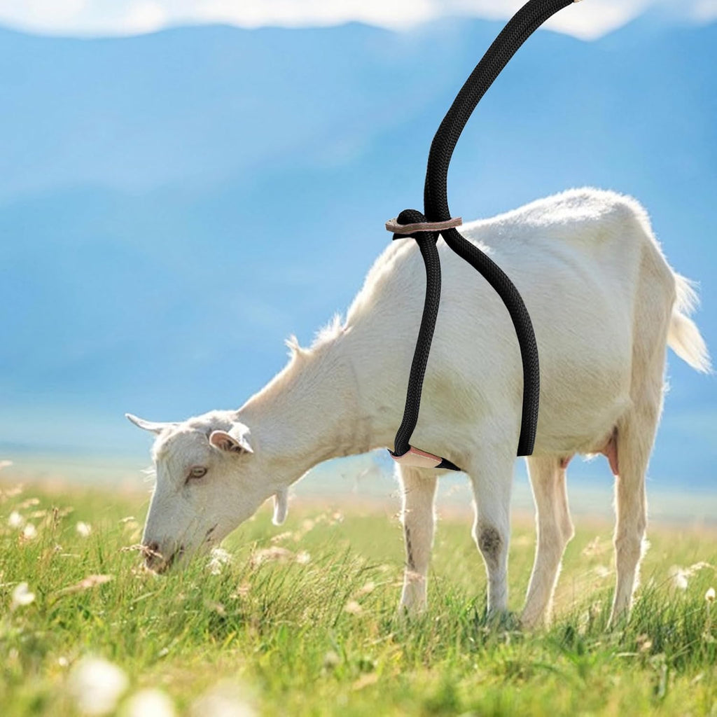 Goat Harness For Walking - Washable Goat Leash And Accessories - Livestock Supplies