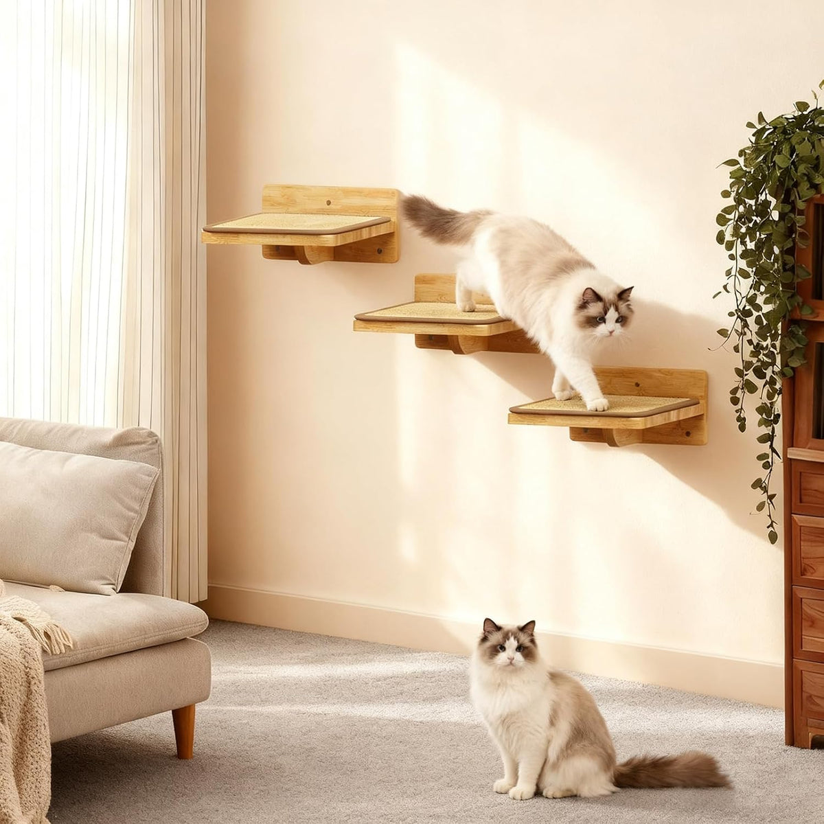 3Pcs 8"×7" Cat Wall Steps - Cat Stairs for Wall, Ladder Natural Wood with Fixtures,Turn Around or Climbing or Playing for Kittens and Adult Cats