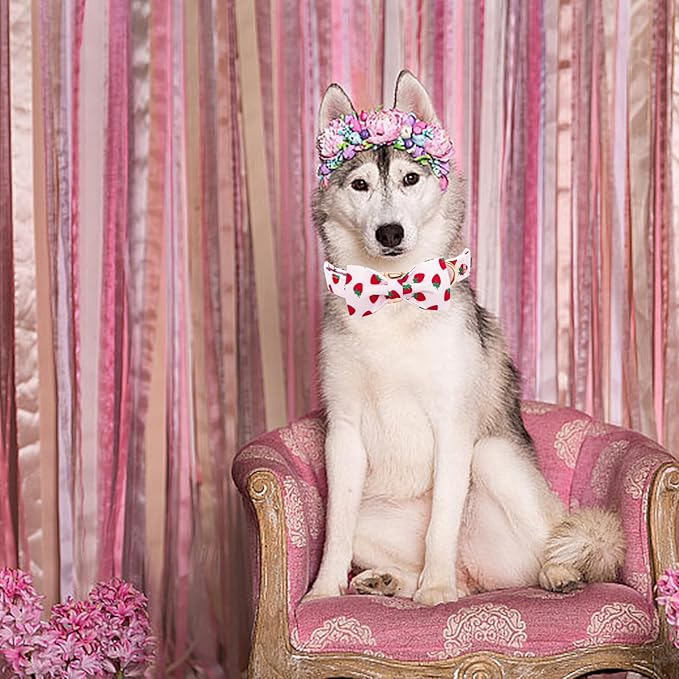 Elegant little tail Dog Collar, Strawberries Print Pet Collar Summer Dog Collar - Image 5