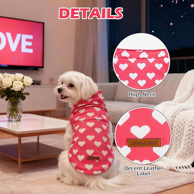 EXPAWLORER Cat Valentines Outfit Sweater - Image 2