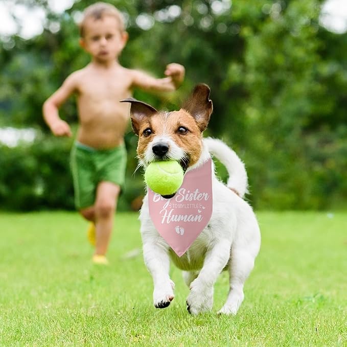 Baby Announcement Dog Bandana Big Sister to My Little Human Gender Reveal - Image 5