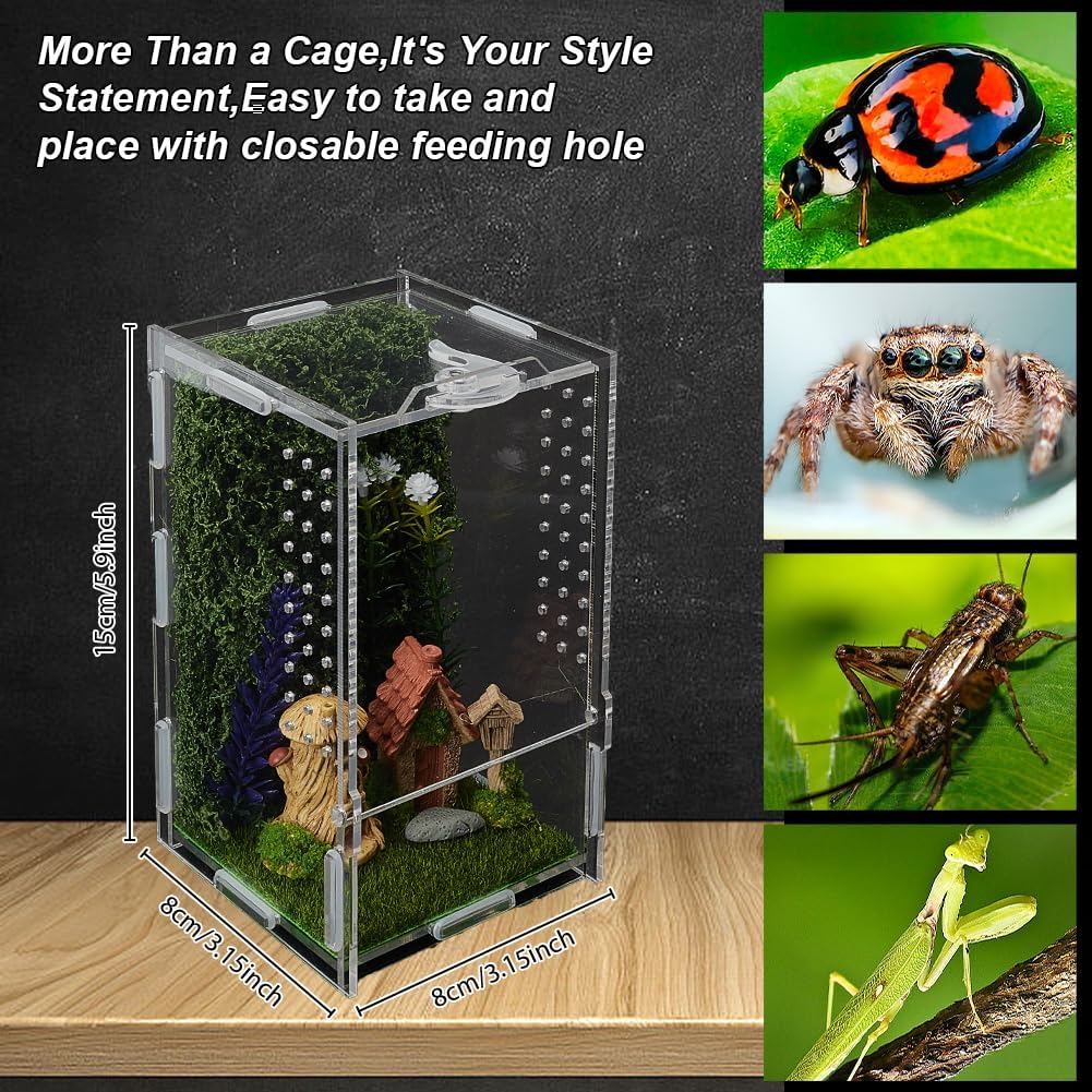 WEBEEDY Jumping Spider Enclosure Kit DIY Insects Habitat, Small Reptile Terrarium Praying Mantis Terrariums Acrylic Terrarium with Complete Habitat Decor for Spider & Insect, 8x8x15cm/3.15x3.15x5.9