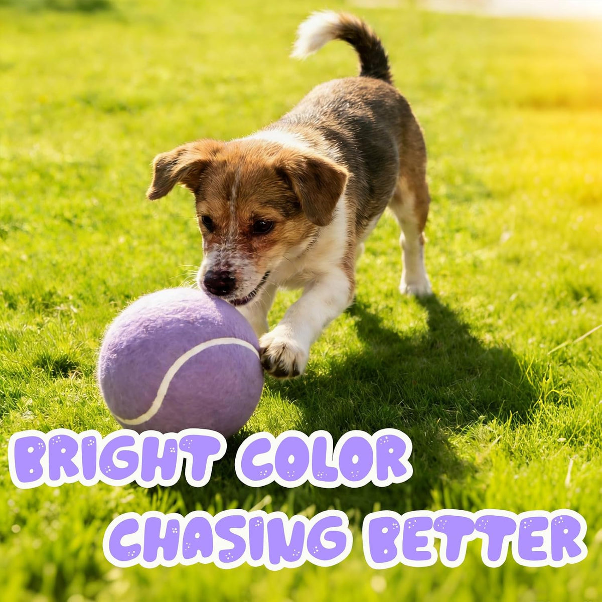 Banfeng Giant Dog Tennis Ball, 9.5" Big Sport Toy Gift for Large Breeds