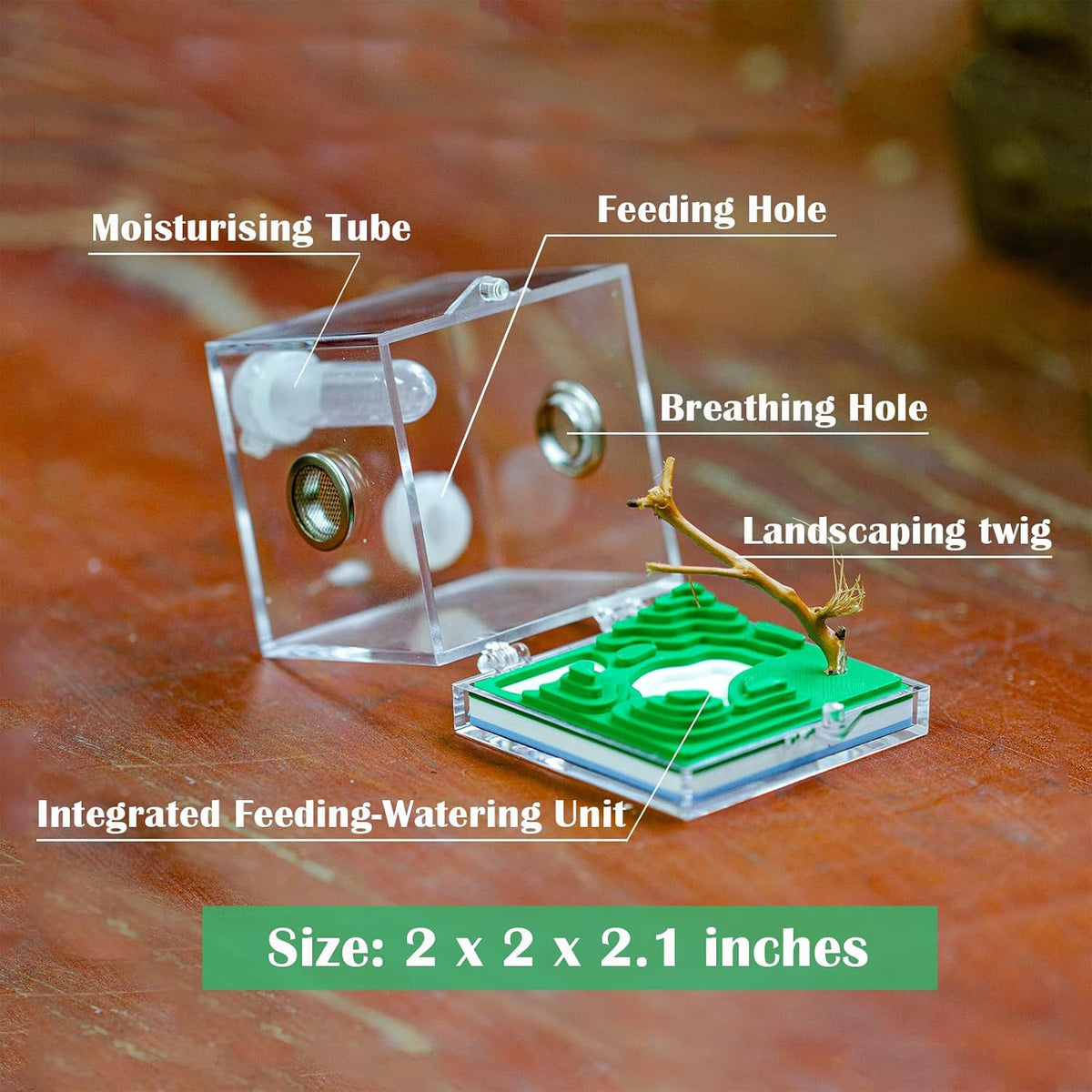 Jumping Spider Micro Enclosure Accessories Set, 2” Acrylic Mini Habitat with Mountain Lake Shaped Integrated Feeding-Watering Container, Modern Landscape Terrarium for Small Insects