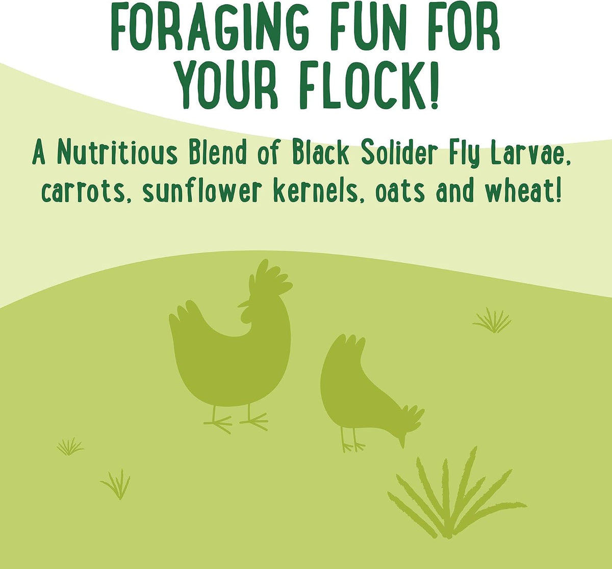Manna Pro Forage Clusters Chicken Treats, Black Soldier Fly Larvae, 14 oz (Pack of 2)