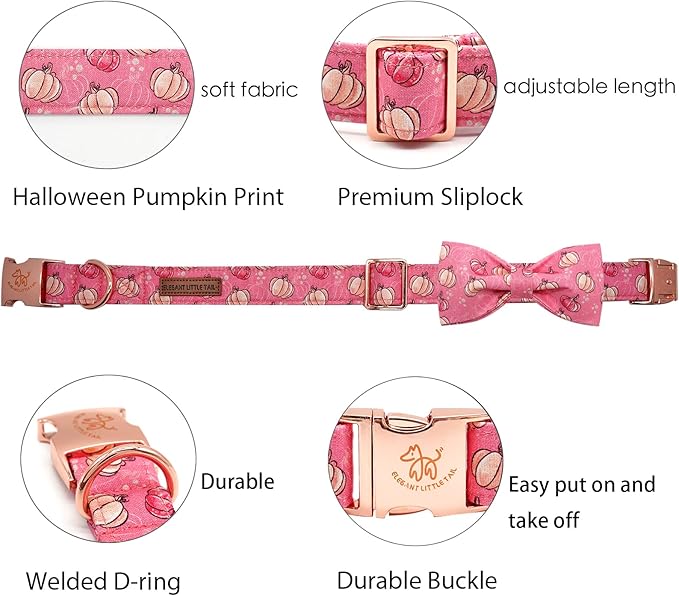 Elegant Little Tail Dog Collar - Image 2