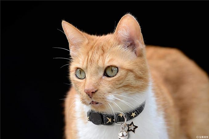 BoomBone Star Charm Studded Cat Collar Breakaway - Image 4