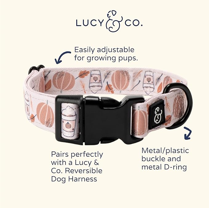 Lucy & Co. Awesomely Autumn Dog Collar - Image 2