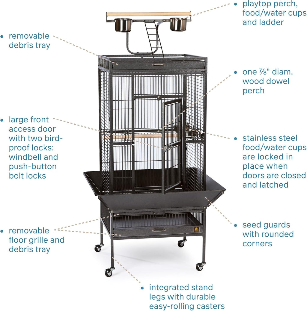 Prevue Pet Products Wrought Iron Select Bird Cage - L, Black Hammertone
