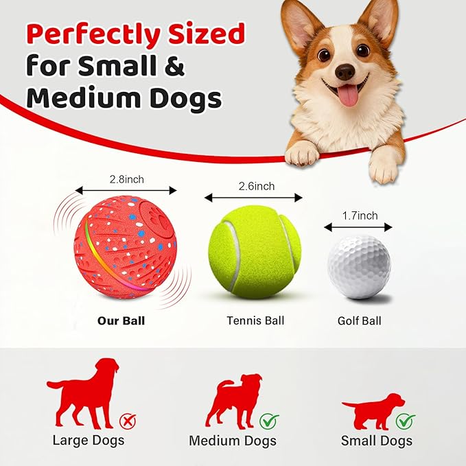 Interactive Dog Toys Ball for Small Medium Dogs - Image 5