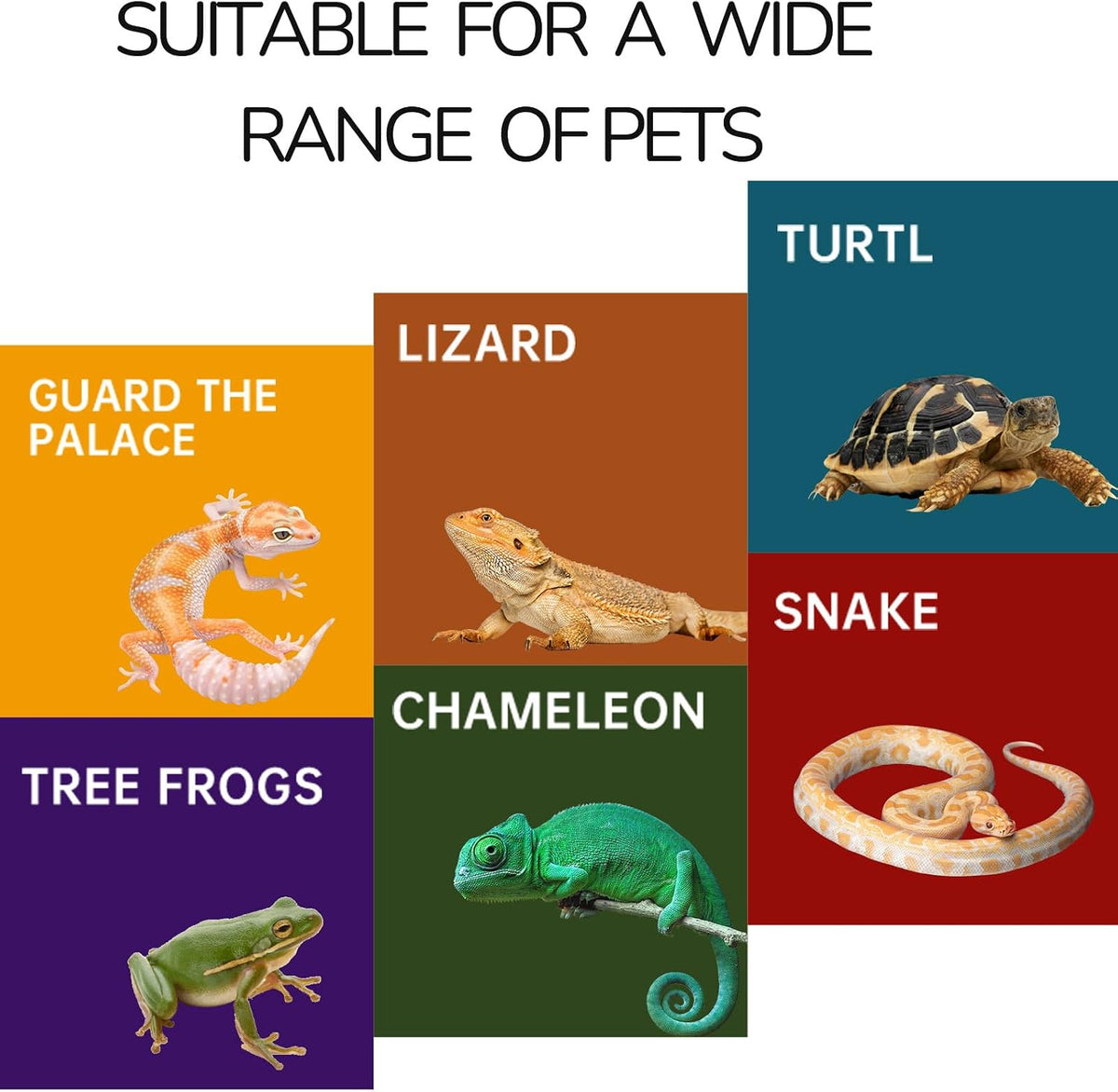 Reptile Hide for Leopard Gecko,Bearded Dragon,Ball Python & Tortoise – Terrarium Habitat Décor, Snake & Lizard Hideout (Resin, Small)