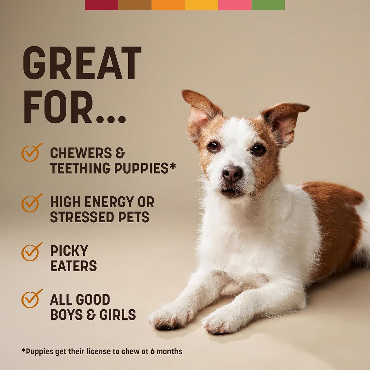 Earth Animal No Hide Dog Chews - Long Lasting Small Rolls, Chicken, 6 Count