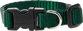 LupinePet Basics 1/2" Green 8-12" Adjustable Collar by LupinePet