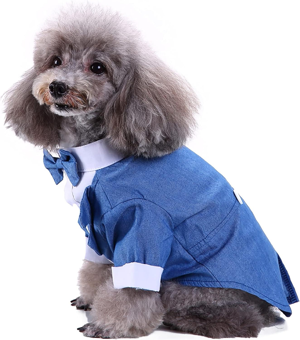Black, White, Blue Dog Shirts for Wedding, Puppy Tuxedo, Dog Formal Wear, Doggie Tux, Suit and Tie Costume Blue Medium
