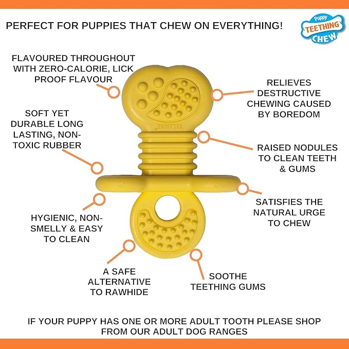 Nylabone Rubber Teether Puppy Chew Toy, Teething Toys - Image 7
