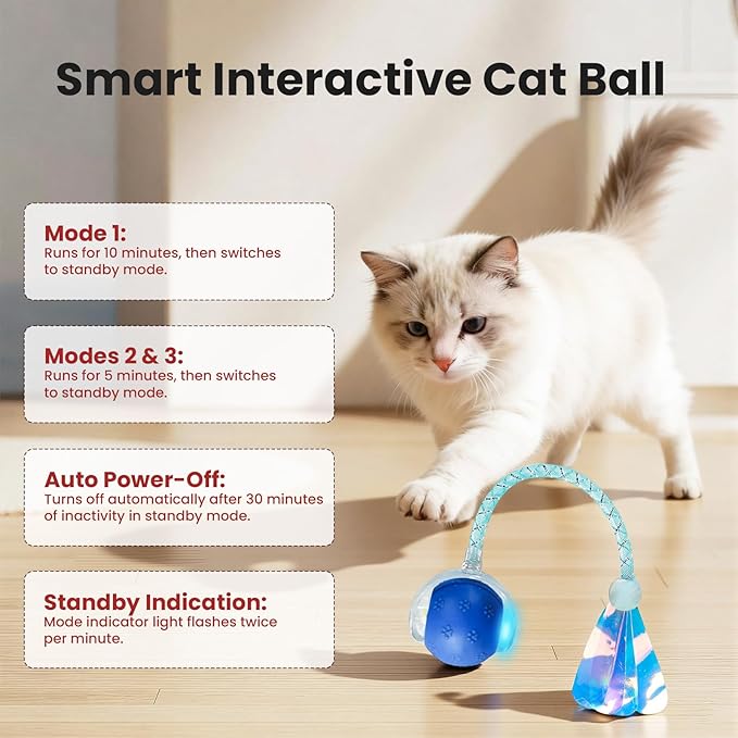 Rocfish Durable Interactive Cat Toys - Image 6
