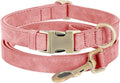 Genuine Leather Dog Collar by HOME