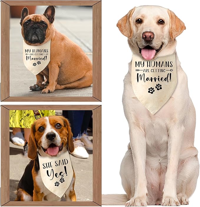 Engagement Gifts My Humans are Getting Married! SHE Said Yes! Pet Bandana Scarf - Image 4