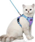 rabbitgoo Cat Harness and Leash Set, Escape Proof Soft Adjustable Vest Harnesses by rabbitgoo