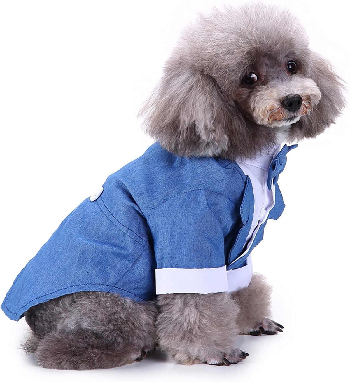 Black, White, Blue Dog Shirts for Wedding, Puppy Tuxedo, Dog Formal Wear, Doggie Tux, Suit and Tie Costume Blue Medium