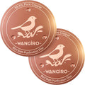 Bird Bath Copper Disk 2PCS-99.99% Pure Copper Purification Disk 1 mm Thick by WANGIRO