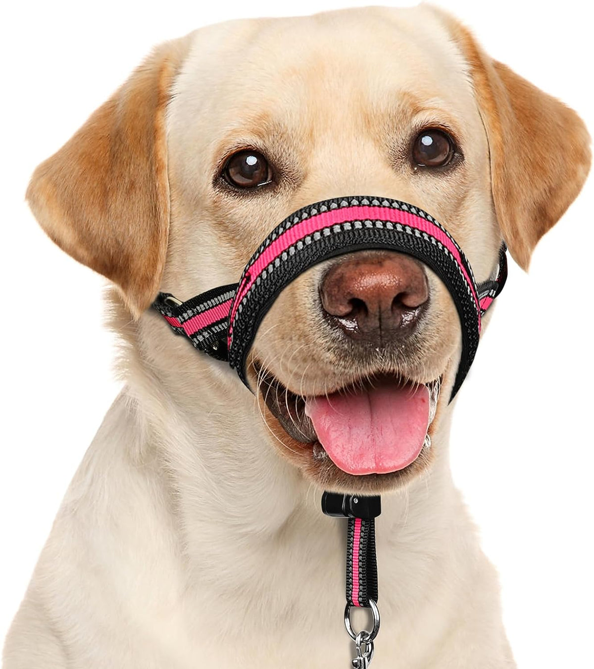 BARKLESS Soft Dog Head Collar, Patented Padded No Pull Training Head Halter